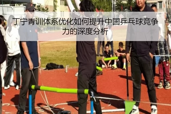 丁宁青训体系优化如何提升中国乒乓球竞争力的深度分析